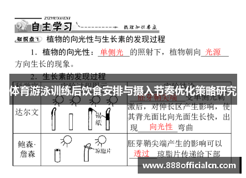 体育游泳训练后饮食安排与摄入节奏优化策略研究