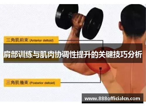 肩部训练与肌肉协调性提升的关键技巧分析